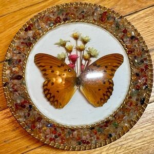 Real Butterfly Trinket Box with Multicolor Gem Border